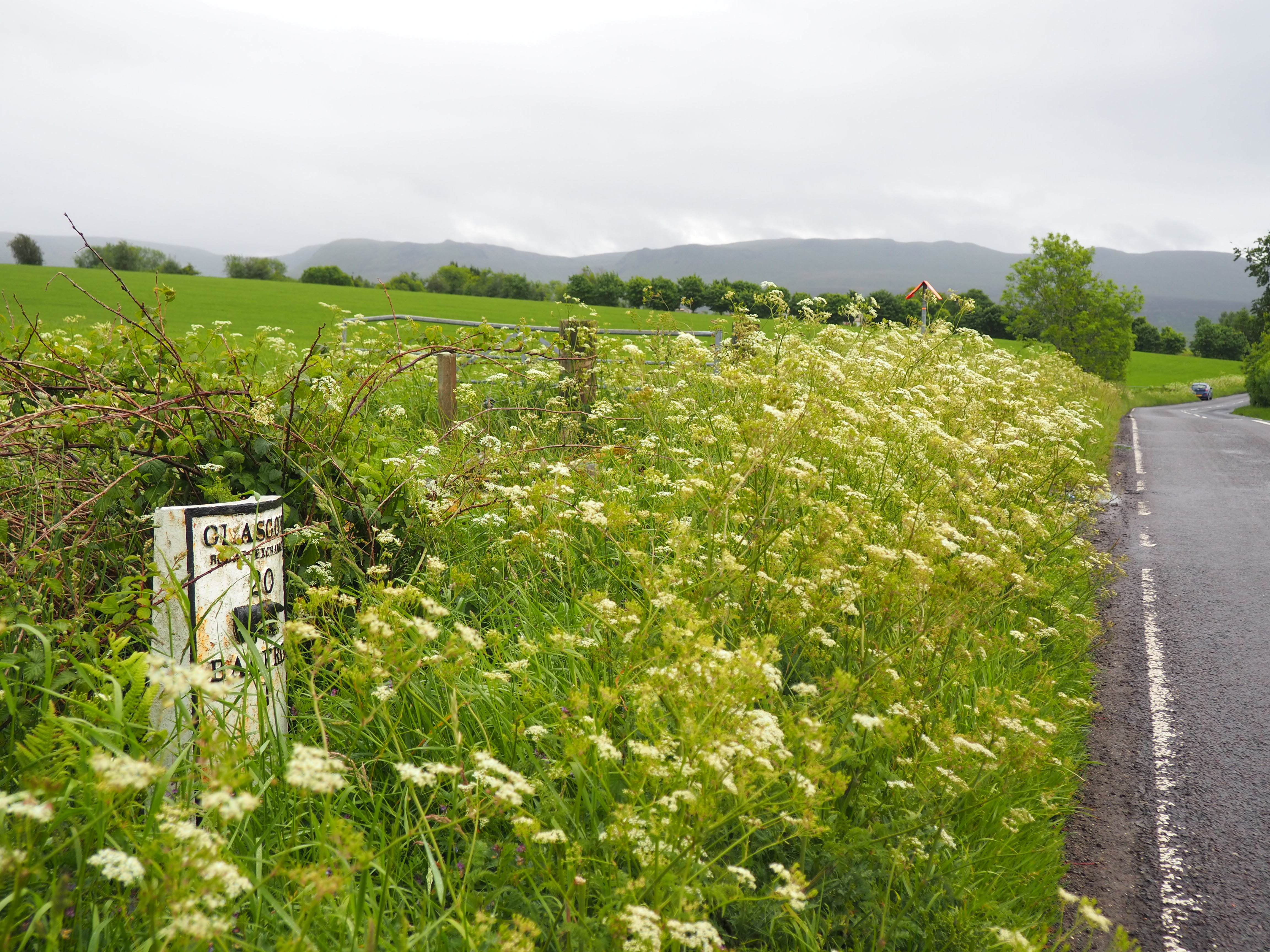 Milepost