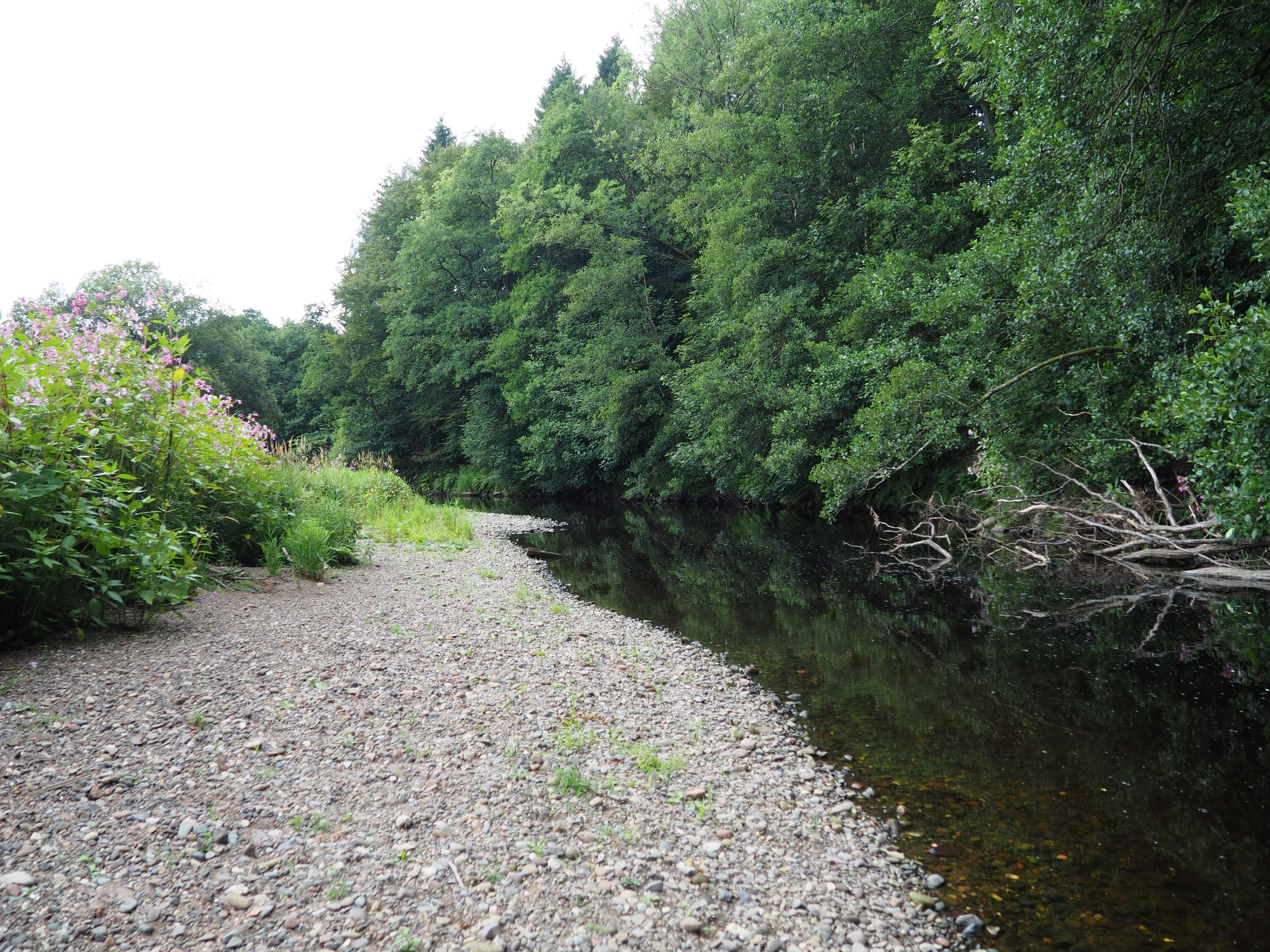 Still Waters and Forgotten Paths