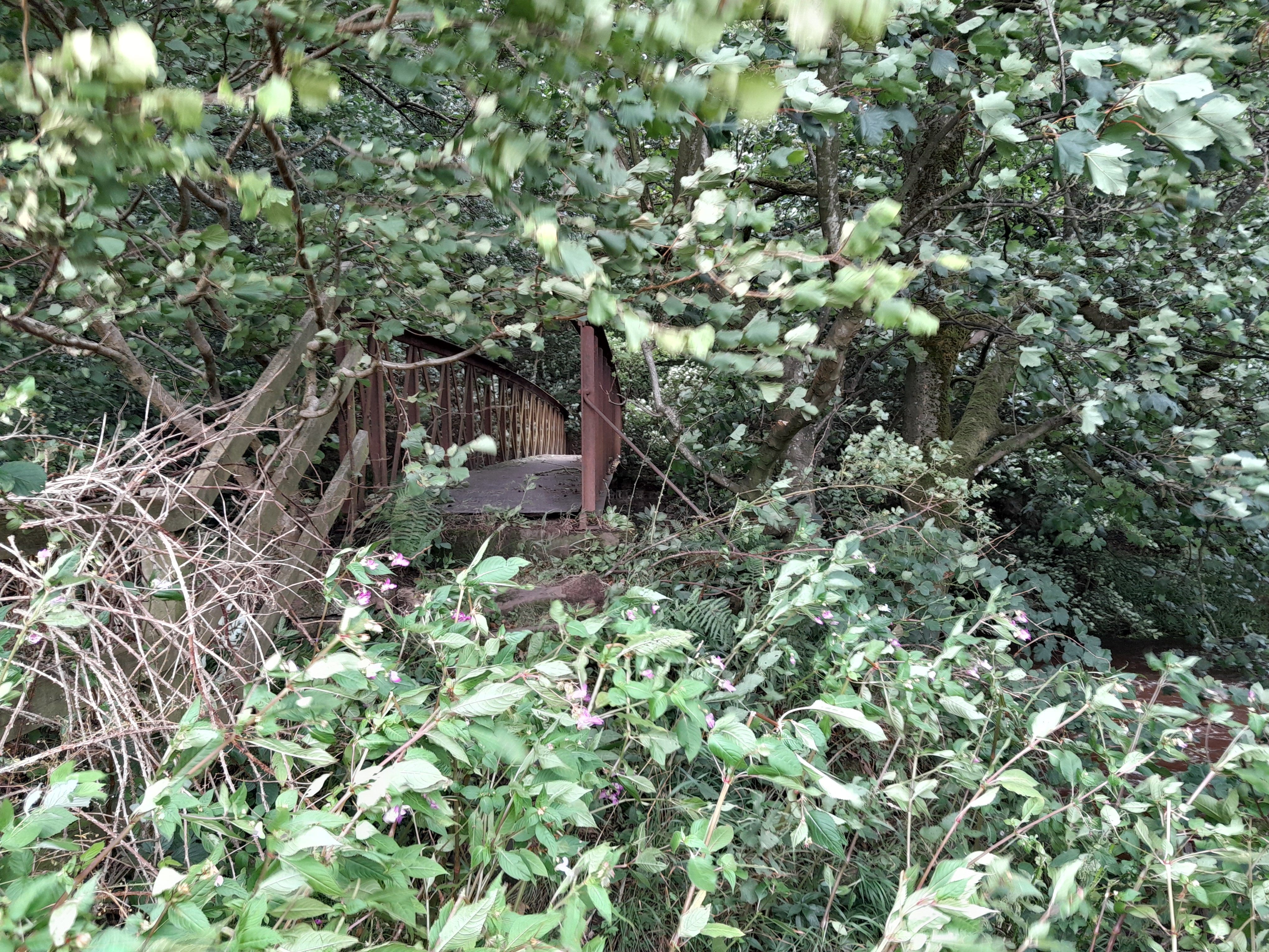 The Cowden Mill Bridge