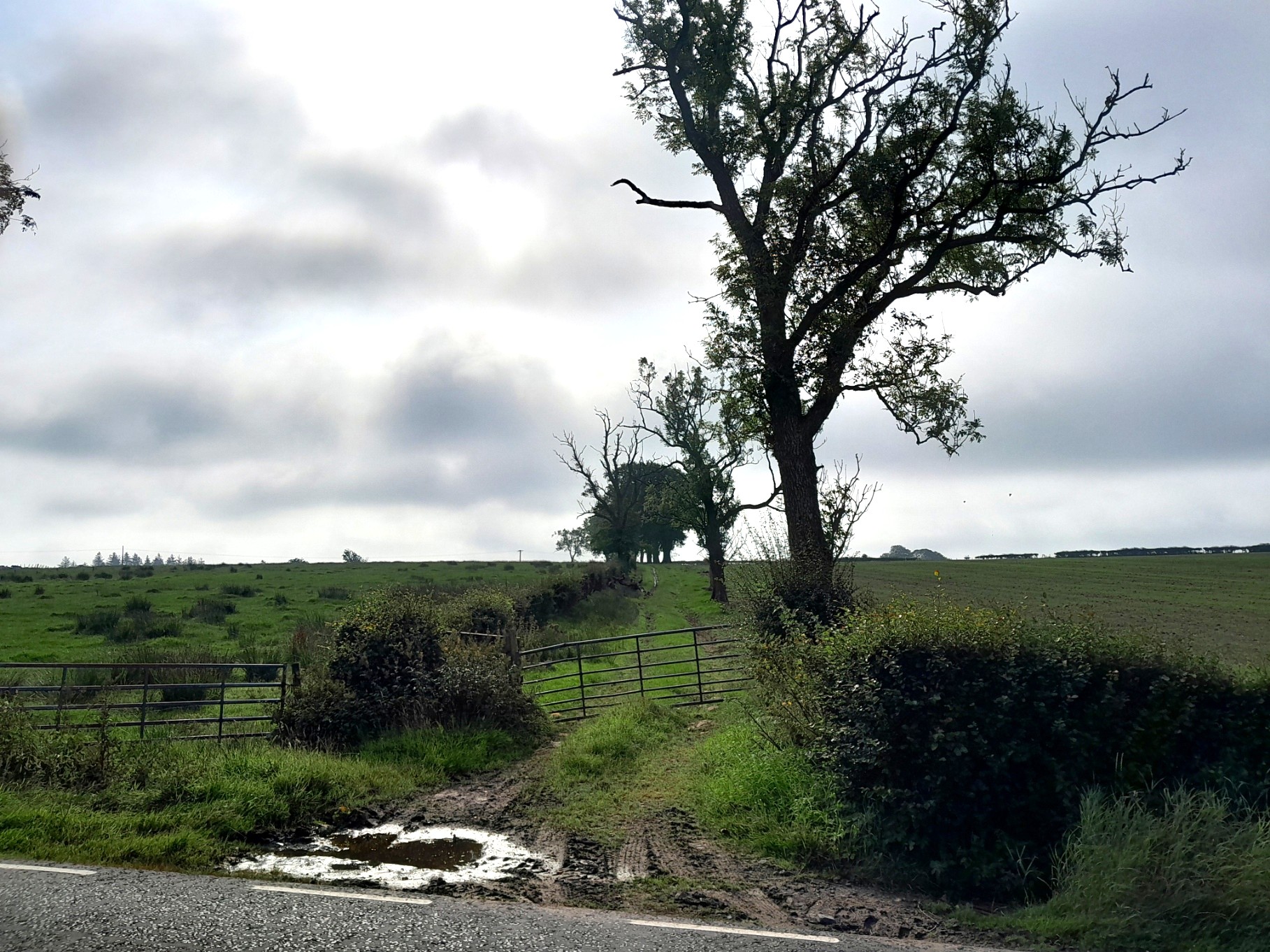 Balfron and the Drove Roads