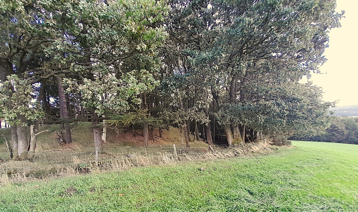 Woodend Motte: A Hidden Landmark with a Mysterious Past