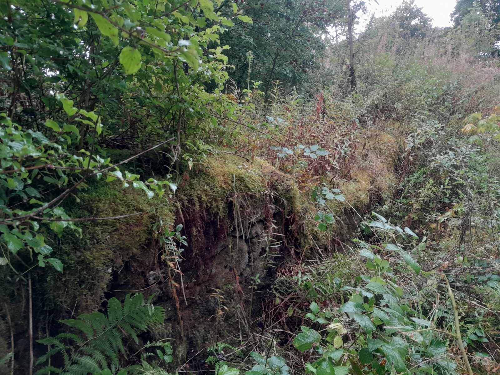 Molanclerich: A Vanished Corner of Balfron