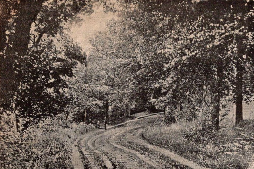 White Yett Glen: A Heritage Pathway in Balfron